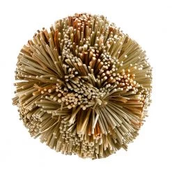 Ferplast Alle Anzeigen PA 4789