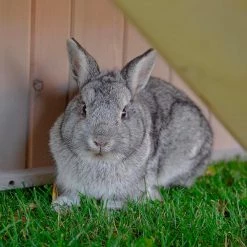 Ferplast RANCH Alle Anzeigen