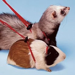 Ferplast NY ROD Alle Anzeigen