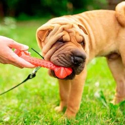 Ferplast Spielzeug PA 6482