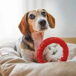 Ferplast SMILE Alle Anzeigen