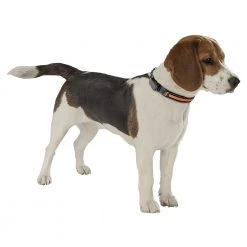 Ferplast SOLAR NIGHT C Alle Anzeigen