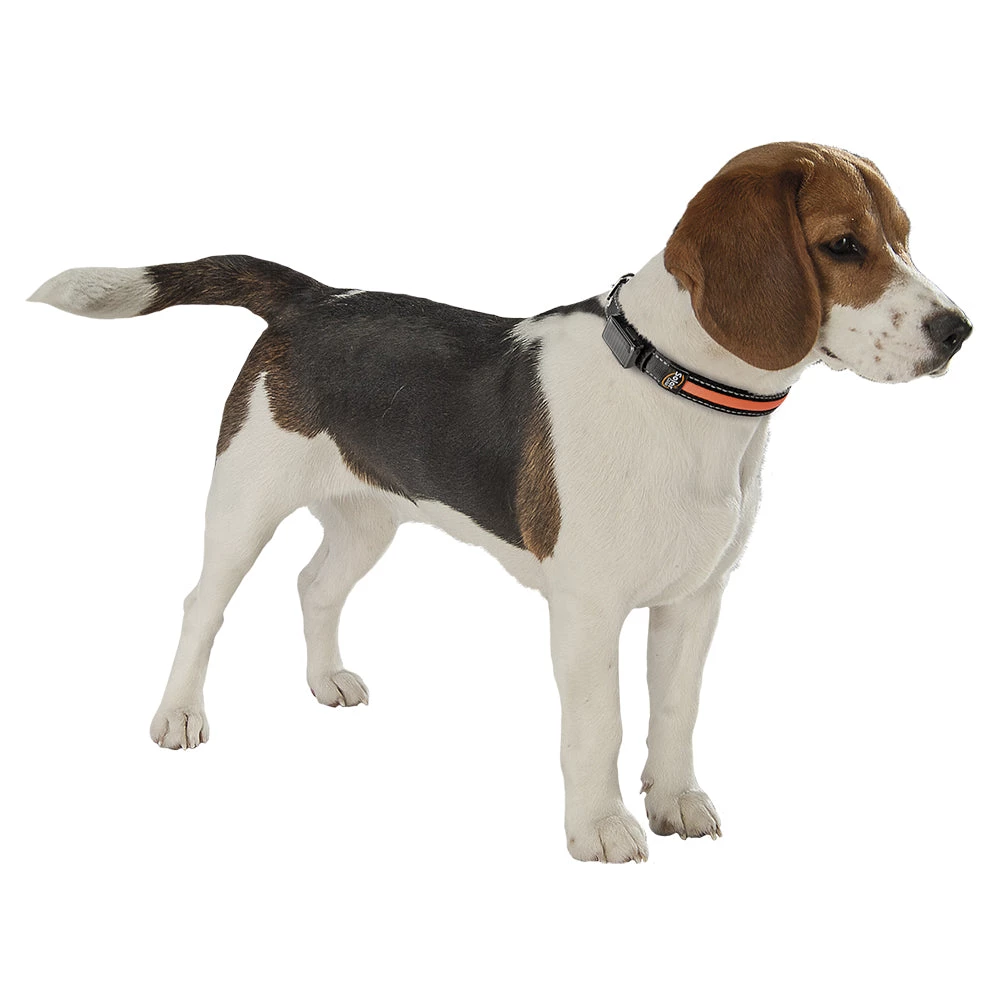 Ferplast SOLAR NIGHT C Alle Anzeigen