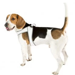 Ferplast AGILA 1-3 Alle Anzeigen