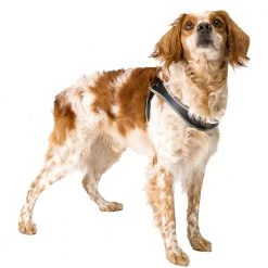 Ferplast Alle Anzeigen AGILA 6-9