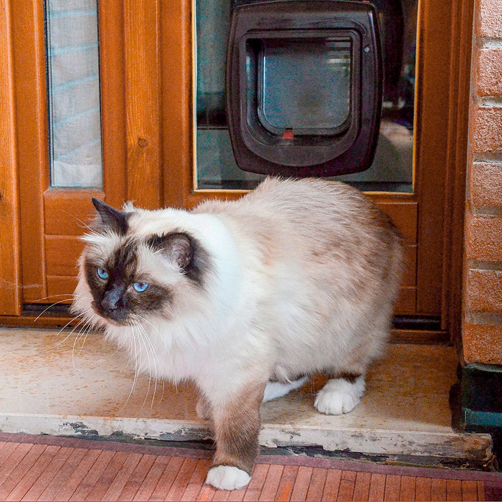 Ferplast Alle Anzeigen SWING MICROCHIP