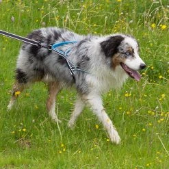 Ferplast Alle Anzeigen SPORT DOG P