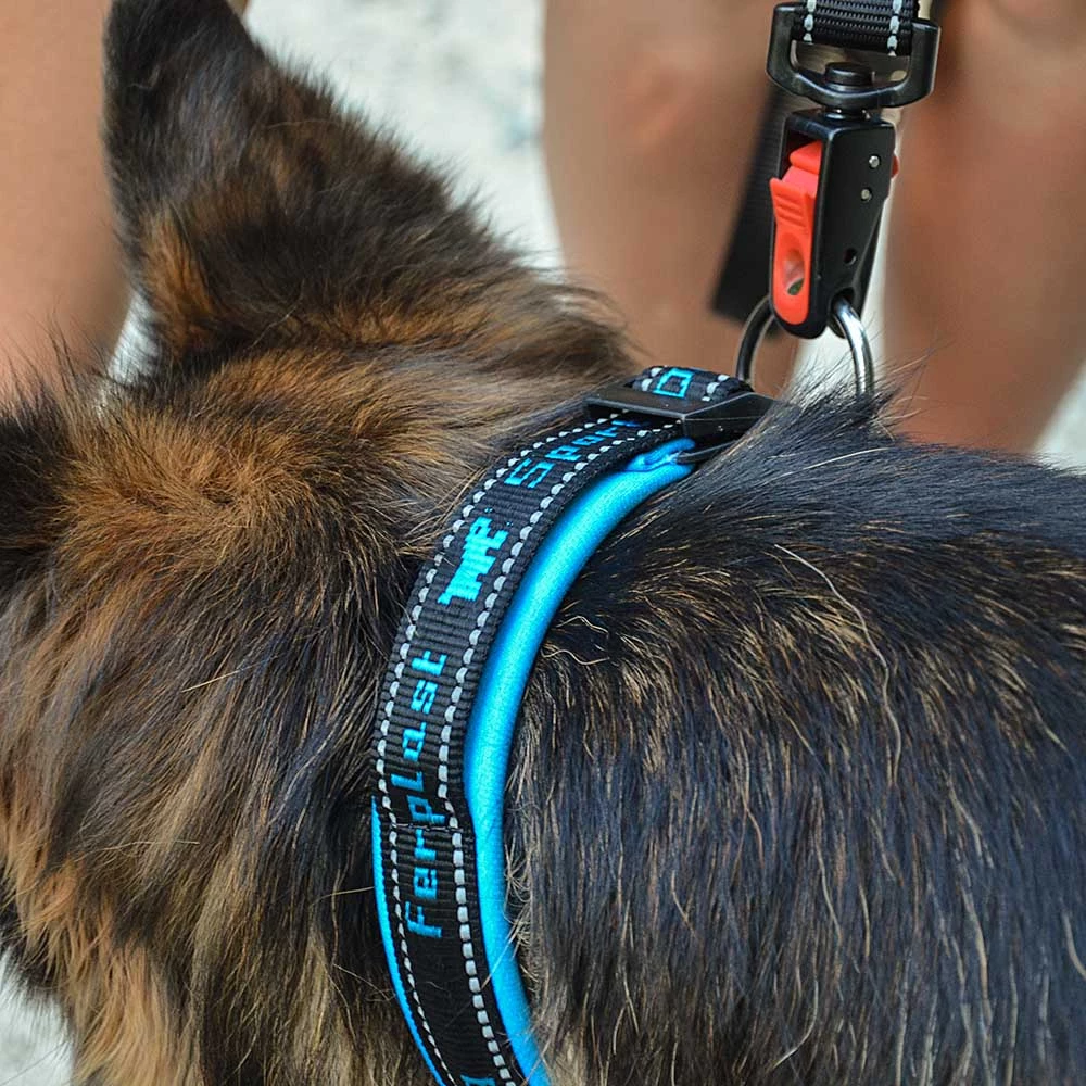 Ferplast SPORT DOG C