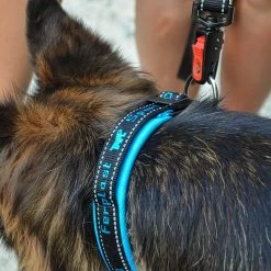 Ferplast Alle Anzeigen SPORT DOG MATIC G