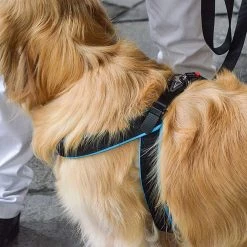 Ferplast AGILA FLUO 3-9