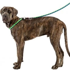 Ferplast TWIST MATIC G Alle Anzeigen