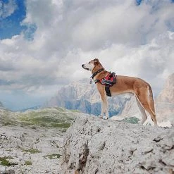 Ferplast HERCULES P M