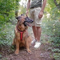 Ferplast DAYTONA P CROSS Alle Anzeigen