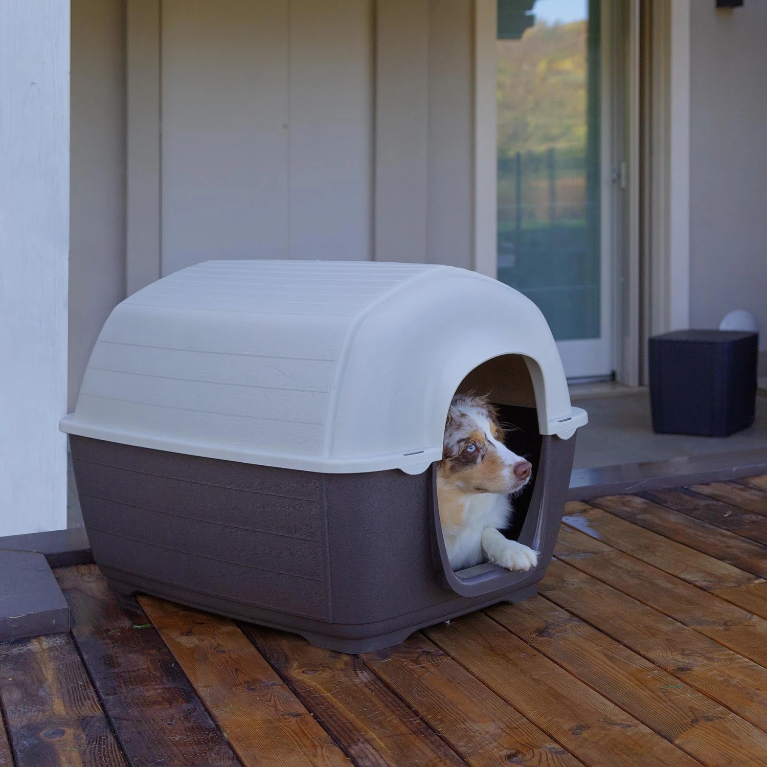 Ferplast Alle Anzeigen KENNY