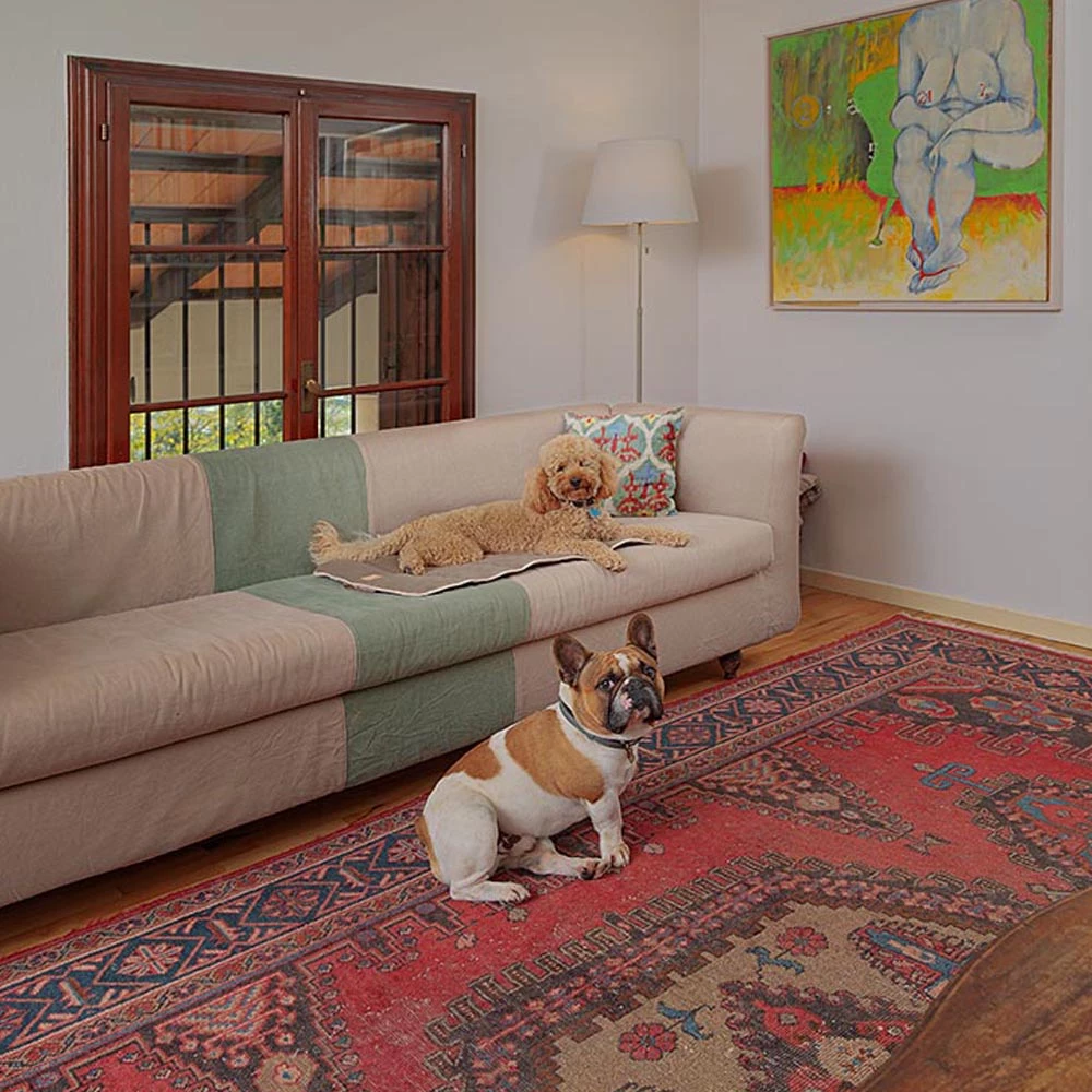 Ferplast LOGAN Alle Anzeigen