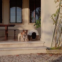 Ferplast Alle Anzeigen KENNY