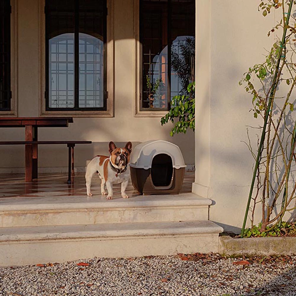 Ferplast Alle Anzeigen KENNY