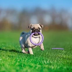 Ferplast PULLER MICRO Alle Anzeigen