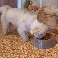 Ferplast MAGNUS SLOW Alle Anzeigen