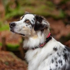 Ferplast Alle Anzeigen ERGOFLUO C