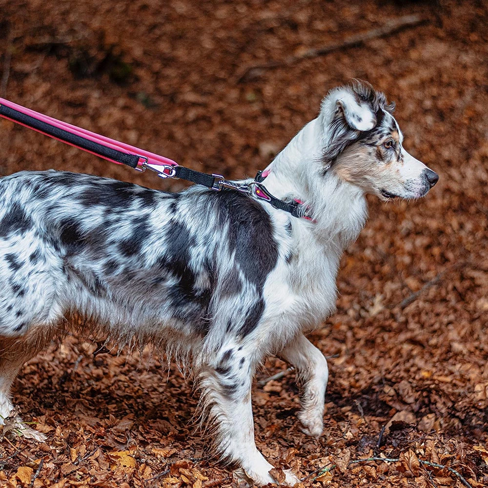 Ferplast Alle Anzeigen ERGOFLUO GA