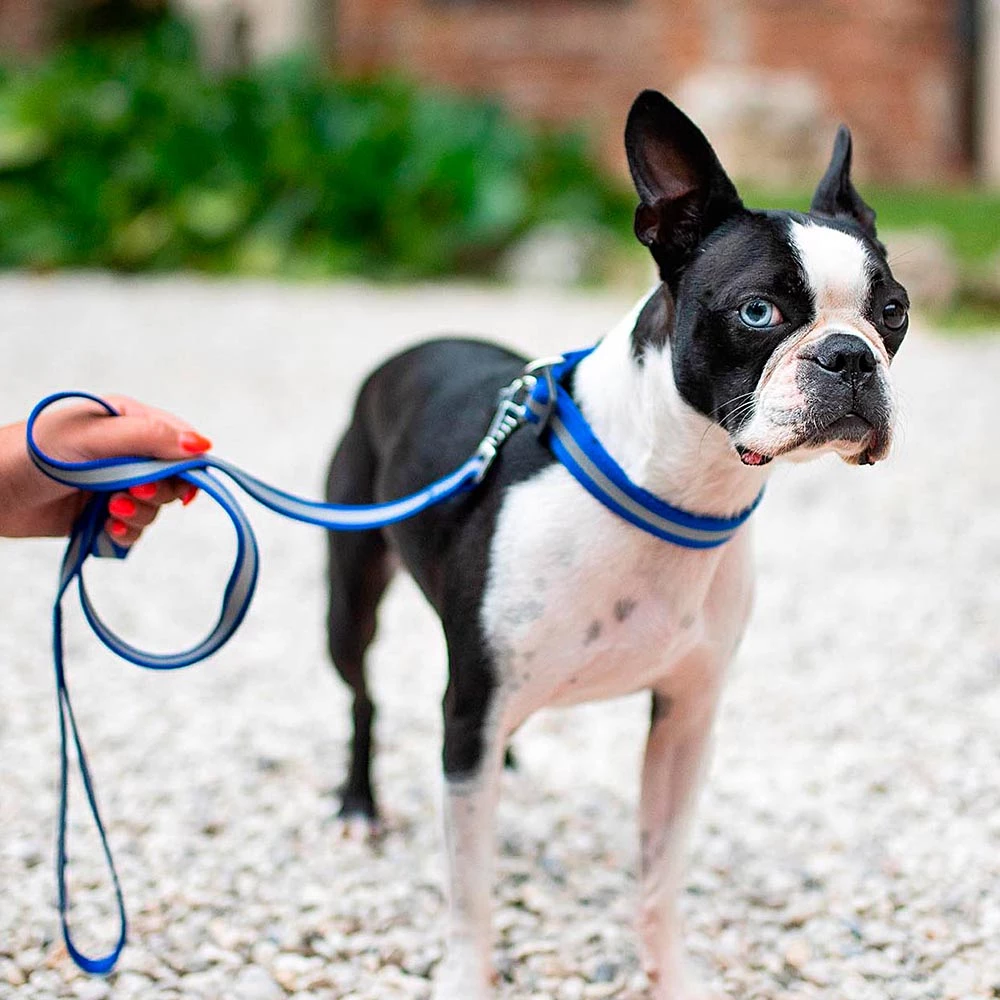 Ferplast CLUB REFLEX G