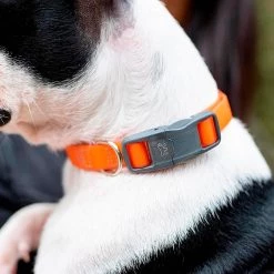 Ferplast Alle Anzeigen EVOLUTION C