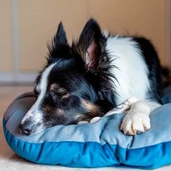 Ferplast STUART Alle Anzeigen