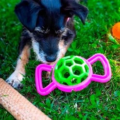 Ferplast Spielzeug PA 6350 Alle Anzeigen