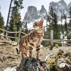 Ferplast EASY P Alle Anzeigen