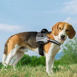 Ferplast HERCULES P S Alle Anzeigen