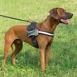 Ferplast HERCULES P M