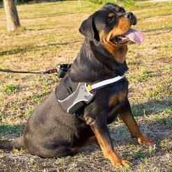 Ferplast HERCULES P XL Alle Anzeigen