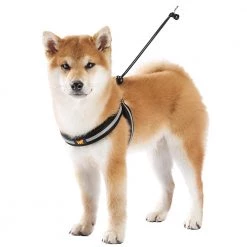 Ferplast AGILA REFLEX 1-4