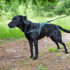 Ferplast Alle Anzeigen SPORT DOG P