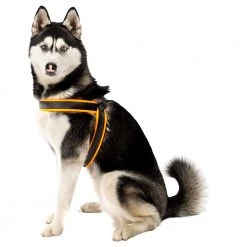 Ferplast AGILA FLUO 3-9