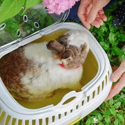 Ferplast ALADINO LARGE Alle Anzeigen