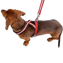 Ferplast DAYTONA P CROSS Alle Anzeigen