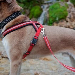 Ferplast DAYTONA P CROSS Alle Anzeigen