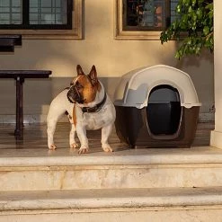 Ferplast Alle Anzeigen KENNY