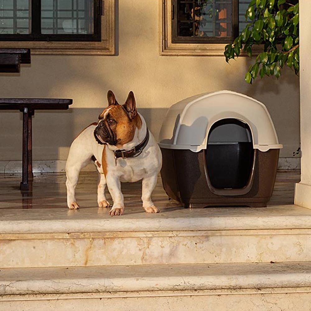 Ferplast Alle Anzeigen KENNY