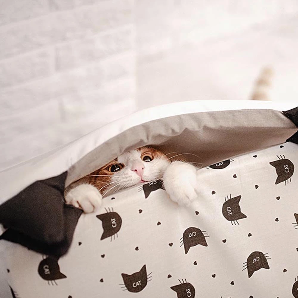 Ferplast PYRAMID Alle Anzeigen