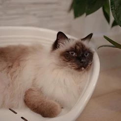 Ferplast SIESTA DELUXE