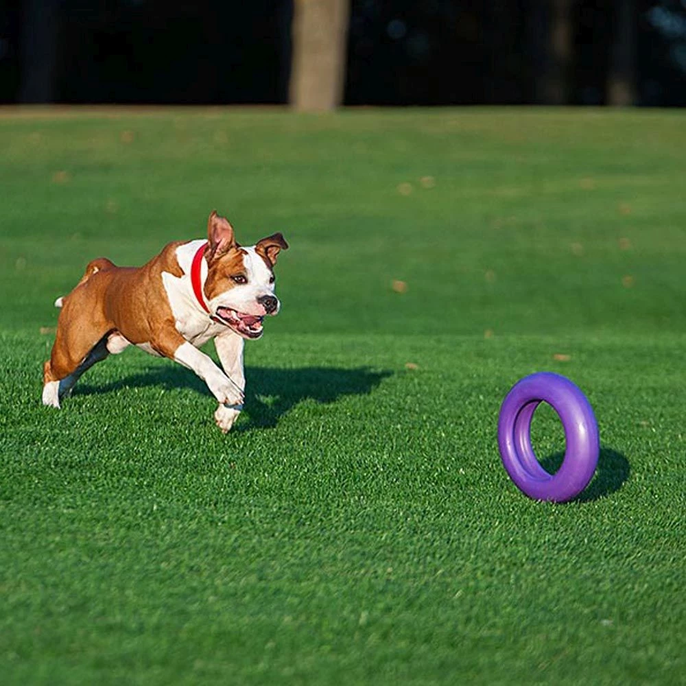 Ferplast PULLER MAXI