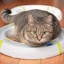 Ferplast TYPHON Alle Anzeigen