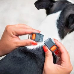 Ferplast EVOLUTION C Alle Anzeigen