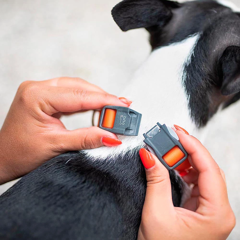 Ferplast EVOLUTION C Alle Anzeigen