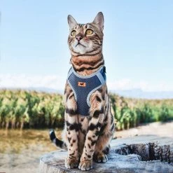 Ferplast NIKITA P Alle Anzeigen