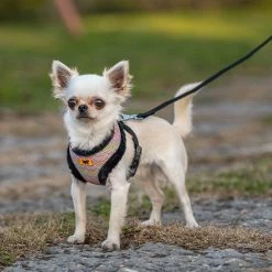 Ferplast NIKITA P FUR Alle Anzeigen