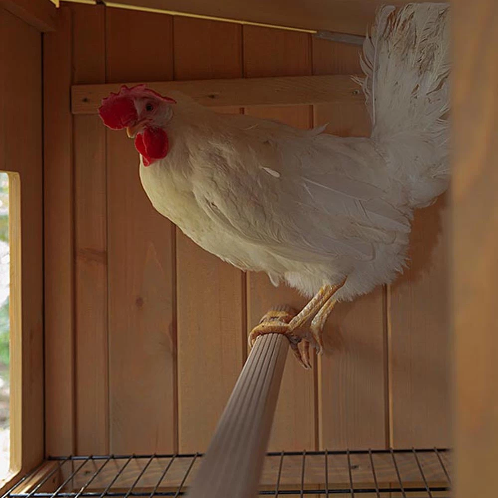 Ferplast HEN HOUSE 30